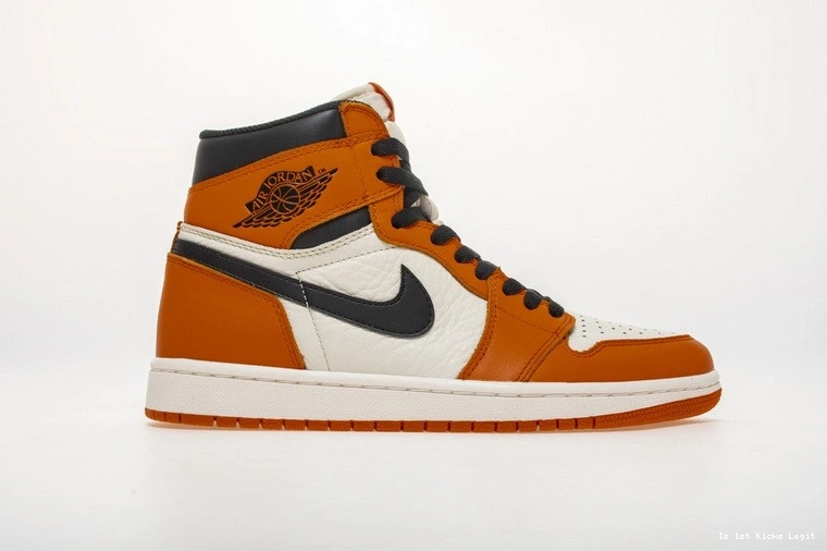 Shattered Reteo OG Jordan Air Reverse Backboard 555088-113 1 0109